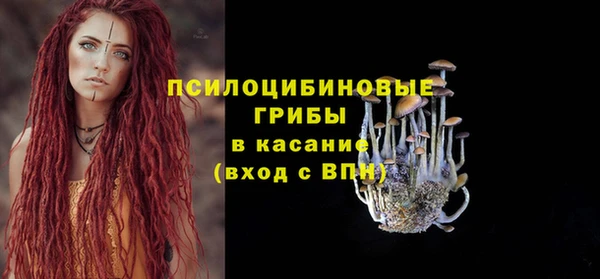 спиды Тавда