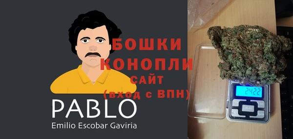 спиды Тавда