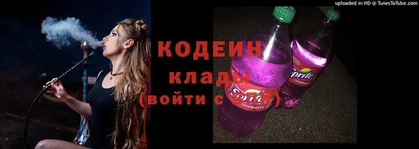 спиды Тавда