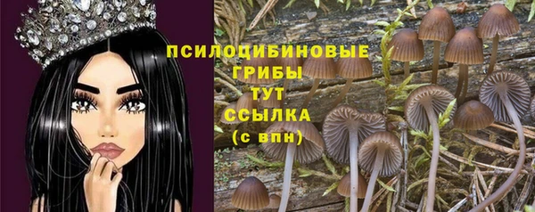 спиды Тавда