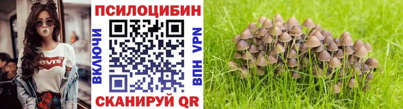 Галлюциногенные грибы ЛСД  Южно-Сухокумск 